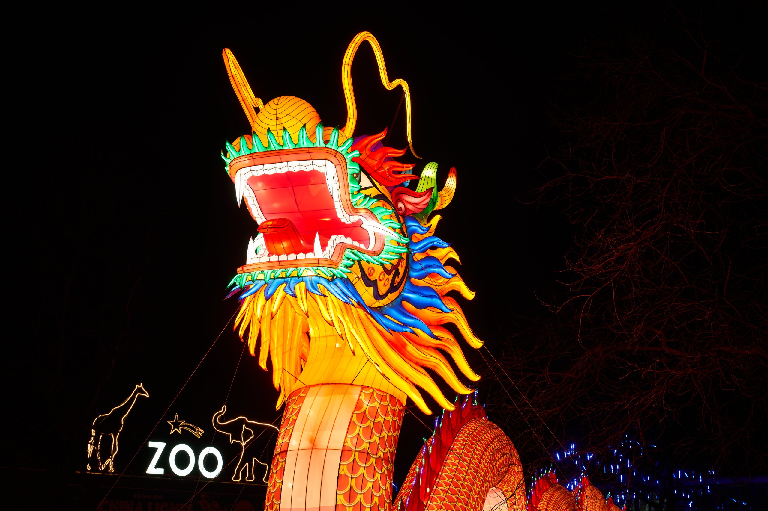 Köln Zoo China Lights